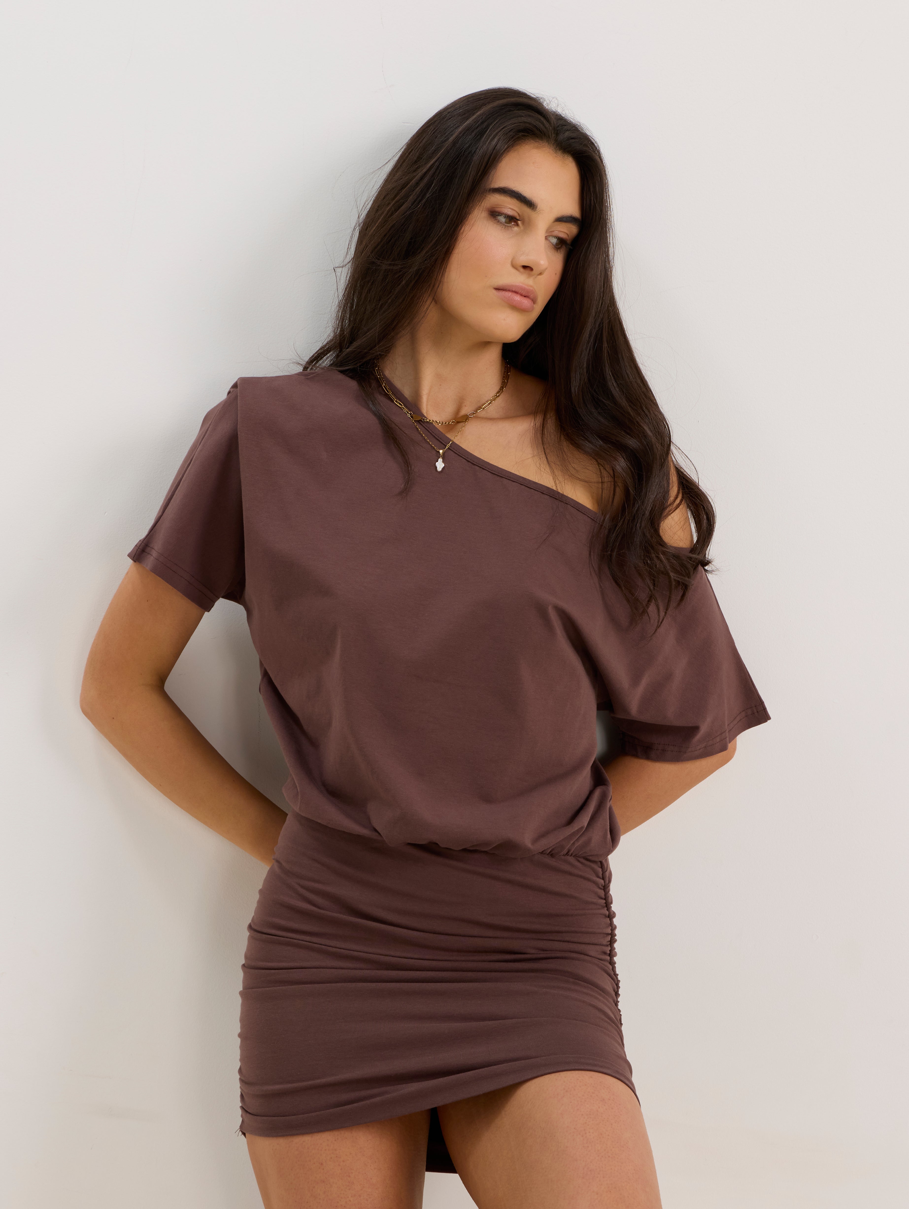 Amber Dress in Brown
